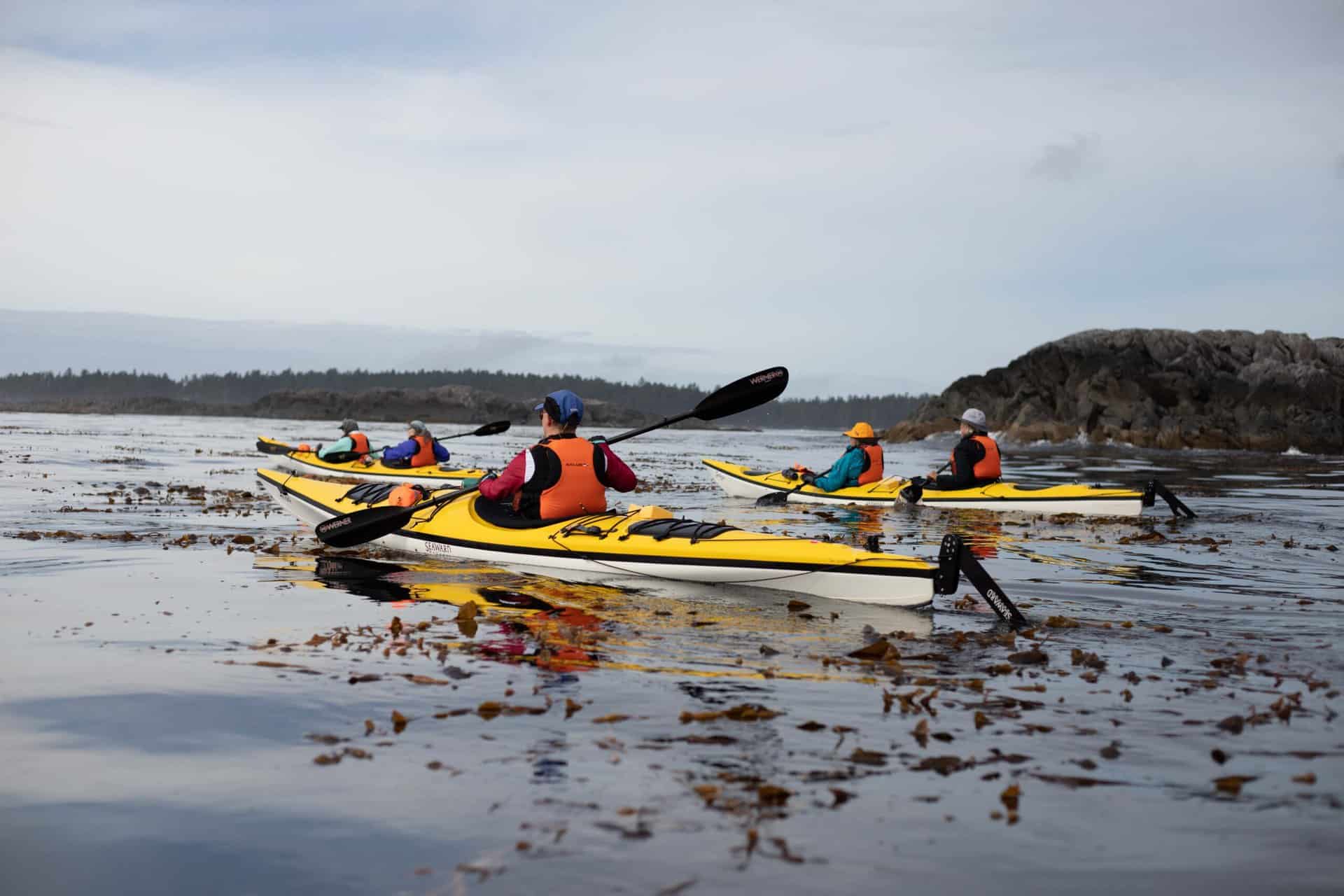 Book your kayak tour with Mothership Adventures